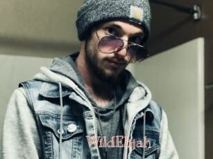 WildElijah