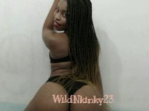 WildNkinky23