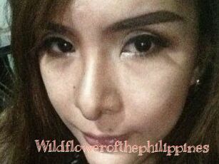 Wildflowerofthephilippines