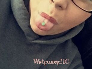 Wetpussy210