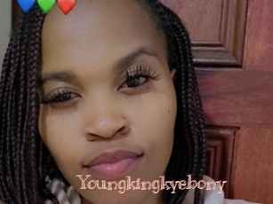 Youngkingkyebony