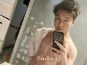 Yunfengg