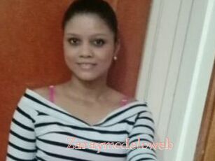 Zaraymodeloweb
