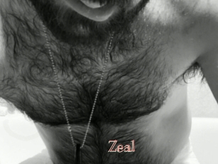 Zeal