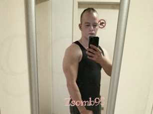 Zsomb95